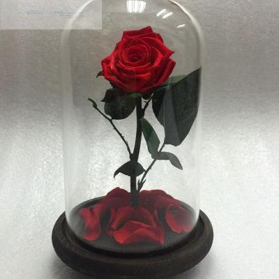 China 2017 green environmental protection Christmas ornaments export direct eternal rose preserved glass flower on sale for sale