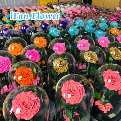 China Green Environmental Protection Decoration Items Preserved Mounted Flowers In The Glass Dome for sale