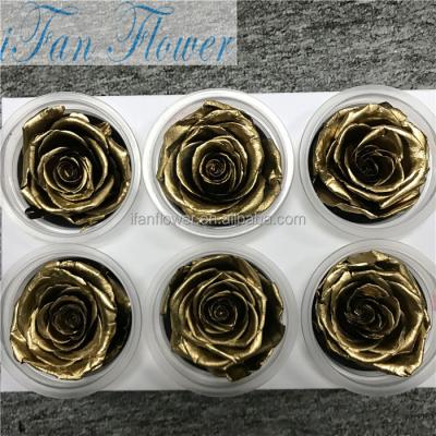 China Green Gold Manufacturer China Environmental Protection Popularity Useful Items Freeze Dried Real Touch Roses for sale