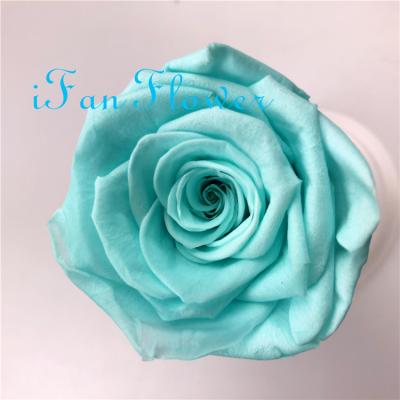 China Environmental Protection Green Fresh Cut Flowers Curing Type And Rose Type Roses Anthurium Price Wedding Rose Preserved Flower for sale