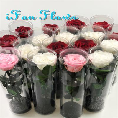 China Birthday Party Wedding Environmental Protection Wholesale Green Japan Real Preserved Rose Rose Stem for sale