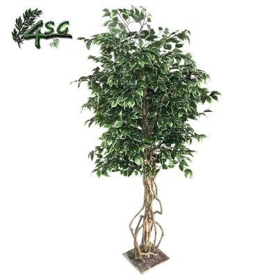 China Easy Hold ARTIFICIAL WHITE LEAF FICUS TREE FOR WEDDING DECOR 6FT INDOOR BANIAN for sale