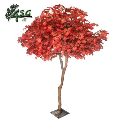 China Easy Maintain PLANTS INDOOR ARTIFICIAL TREES WITH AUTUMN GROW LEAVES JAPANESE ARTIFICIAL MAPLE TREE for sale