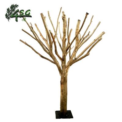 China Easy hold DRY TREE FOR DECORATION INDOOR DEAD TREE WOOD ARTIFICIAL DRY TREES for sale