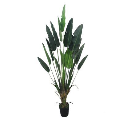 China Paradise Plant Decor Minimalist Artificial Plastic Bonsai Banana Traveler Banana Tree Bird for sale