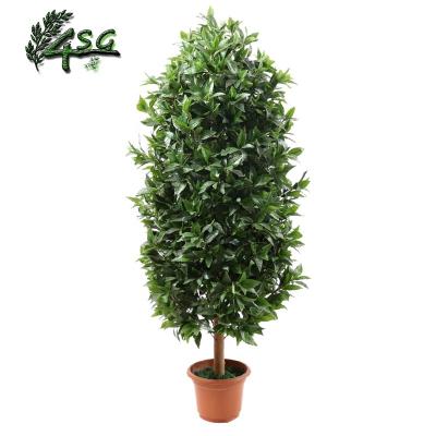 China LARGE BONSAI Easy Maintain INDOOR BAY TREES FOR SALE HOME DECOR ARTIFICIAL LAUREL TREE 6FT for sale