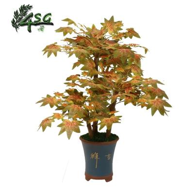 China MINI AUTUMN Easy Maintain MAPLE TREE WITH CERAMIC POT ARTIFICIAL JAPANESE BONSAI TREE for sale