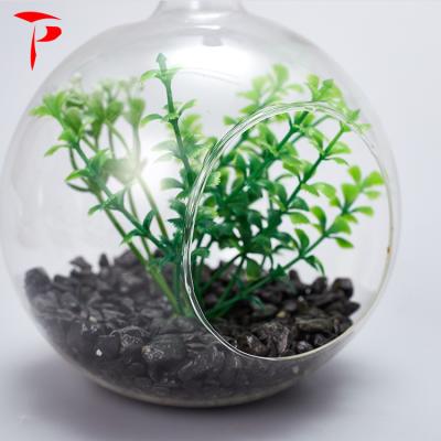 China Factory direct sale mini greenhouse clear glass globe hanging ball shaped glass mini greenhouse with factory for sale