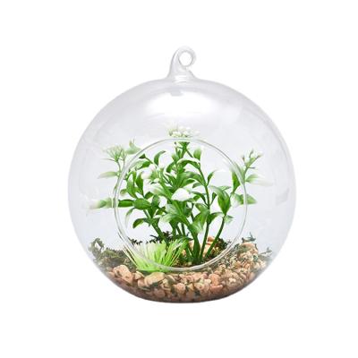 China Europe Hanging Plant Round Mini Glass Vase Greenhouse For Indoor Decoration for sale