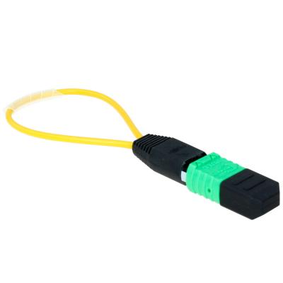 China 24 Cores Om3 Fiber Optic Loopback MTP MPO PVC Sheath Material ROHS SGS Listed for sale