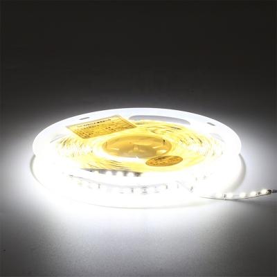 China Home decoration 12V/24V IP65 waterproof low voltage 2835 LED light strip for home decoration for sale