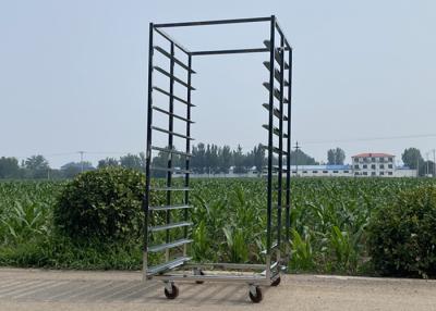 China Double Line With Brake And No Brake Stainless Steel 201 304 316 / Aluminium Rack Trolley for sale