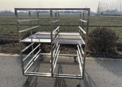 China Maßgeschneiderte Größe Edelstahl 304 316 Tray Rack Trolley mit passendem Tray zum Backen und Trocknen zu verkaufen