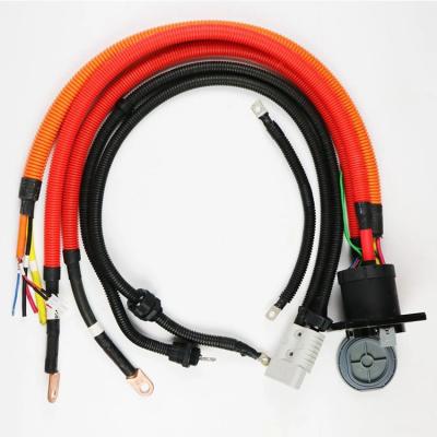 Cina Manufacturers Custom Auto Auto Harness Bar ATV Wiring Automotive Motorcycles Wire Harness in vendita