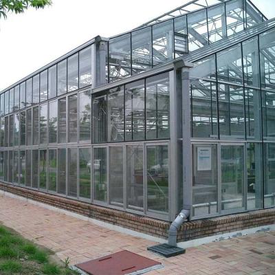 China Stable Structure Low Cost Mini Tunnel Greenhouse Film for sale