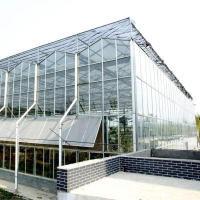 China Stable Structure Gutter Connected Multispan Polycarbonate Sheet Greenhouse for sale