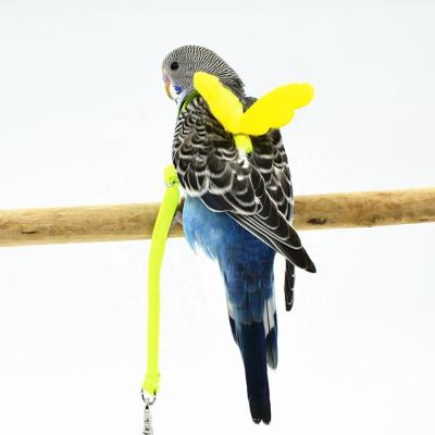 China Sustainable Pet Parrot Flight Rope Ties Outdoor Training Pull Rope Bird Harness Leash for sale