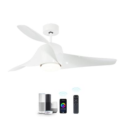 China Morden Easy Install Living Room Bedroom Cool Smart Lighting Quiet Summer Sleep Ceiling Fan Lights for sale