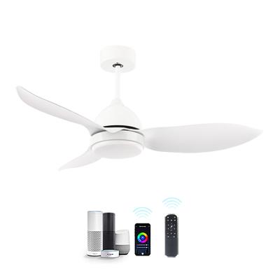 China High Quality Morden Smart Fan 6 Speed ​​DC Motor Works Ceiling Fan With Dimmable LED Light Kit for sale