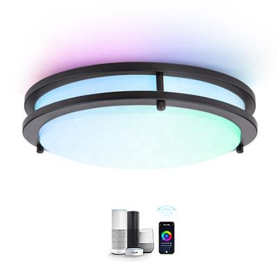 China Modern Wifi App Alexa Google Control RGBCW Smart Ceiling LED Focused On Light Products Manufacturing for sale