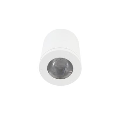 China Factory Price Surface Mounted Round European Downlight Fixture Led Ip65 Ceiling Mount Led Downlight for sale