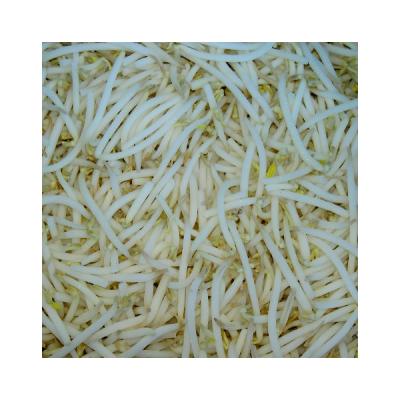 China Wholesale FROZEN Mung Bean Sprout IQF Green Frozen Vegetable for sale