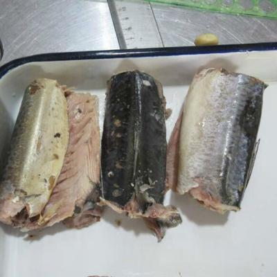 China 155gr canned canned mackerel in brine for sale