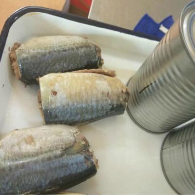 China Canned mackerel in brine for sale