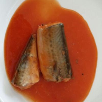 China Canned canned mackerel in tomato sauce for sale