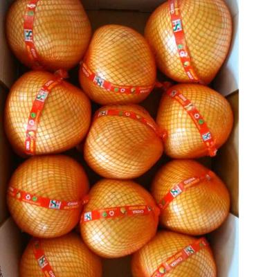 China Best Fresh Chinese Honey Pomelo from our factory whatsapp +86-15959230872 for sale