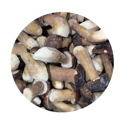 China IQF FROZEN Boletus Edulis Mushroom for sale