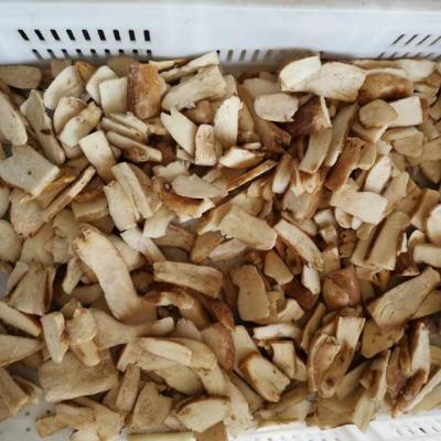 China FROZEN wild mushroom for IQF cube boletus edulis slices wholes new frozen culture for sale