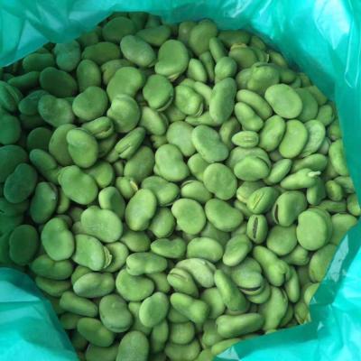 China FROZEN BRC, KOSHER and HALAL frozen beans for sale