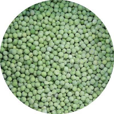 China IQF FROZEN FROZEN PEAS for sale