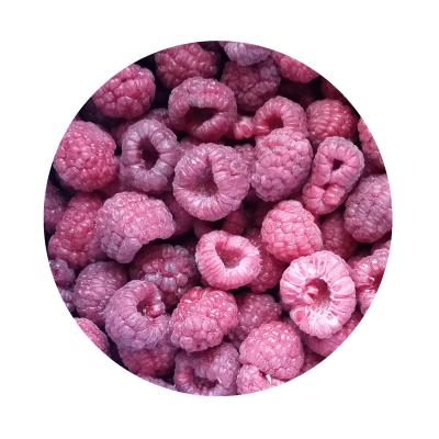 China FROZEN Frozen Raspberry Fruit IQF Whole Berries for sale