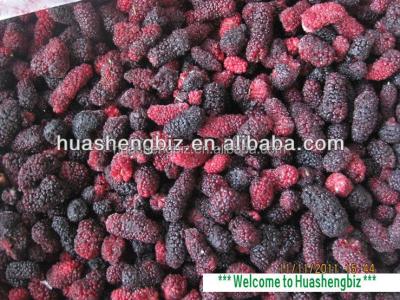 China FROZEN fresh frozen blackberry for sale