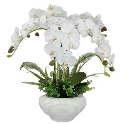 China Real Latex Artificial Latex Touch Orchid Plants For Wedding Flower for sale