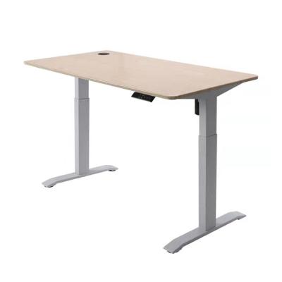 China Adjustable High Level Computer Multifunctional Lifting Adjustable Table (Height) for sale