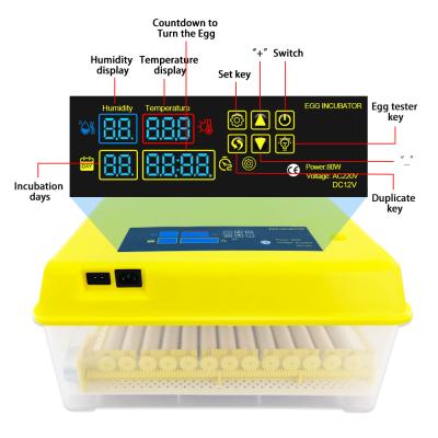 China Farms 100 Quail Egg Incubators For Sale Home Use Foam Box for sale