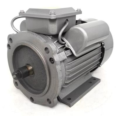 China IE3 0,55 ~ 315KW IP55 Motor Elétrico 100% Coração de cobre 220v Ac Motor de indução de casca de ferro de fase única Motor B5 à venda