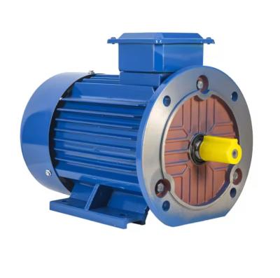 China IE3 Motor assíncrono trifásico 55KW IP54 IP55 50HZ 15KW-355KW 318V AC Motor de indução elétrico de gaiola de esquilo à venda