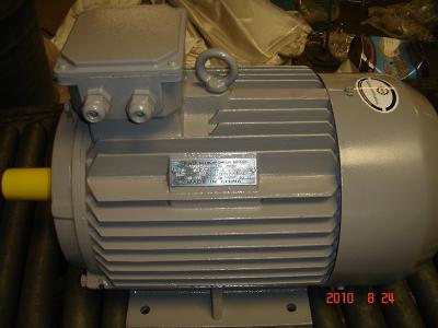 China YE3-132M-4 Efficiency Three Phase Ac Electric Motor 220/380/460V 355mm Shaft Height 1120kg zu verkaufen