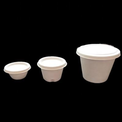 China Biodegradable Bagasse Sugar Cane Pulp Soup Cup with Lid GZJ-10 for sale