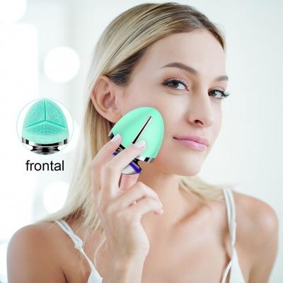 China EMS Beauty Sonic Electric Facial Tool 2 in1 Rechargeable Silicone Facial Cleansing Brush for sale