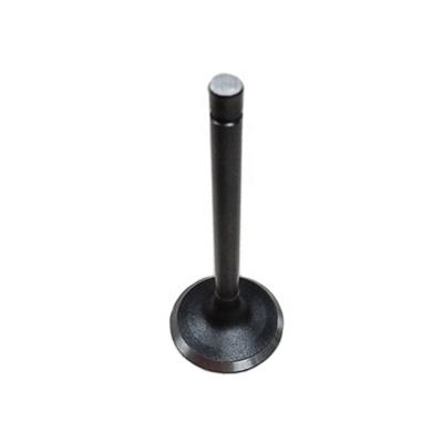 China Wholesale price factory directly sell 5L car engine OEM 13711-54030 intake valve standard for sale