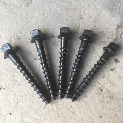 China La madera del durmiente atornilla el tornillo de acero de Spike Carbon Steel Galvanized Stainless del tornillo del carril del OEM en venta