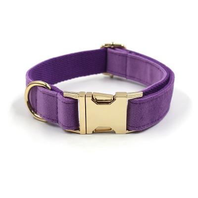 China Viable Gold Purple Gold Custom Supplies Pet Collar Dog Fashion Design Velvet Buckle Fancy Puppy Zinc Alloy Collars for sale