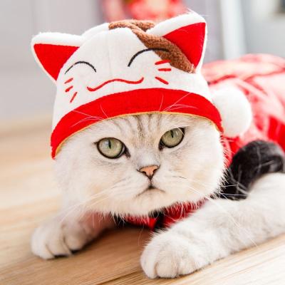 China 2019 New Style Funny Cute Viable Design Dogs Cats Accessories Adorable Headdress Headwear Hat Party Hat for sale