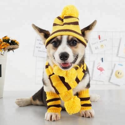 China New 2018 Autumn Winter Sustainable Seasonal Christmas Warm Crochet Dog Cat Hat Set With Scarf Gaiters for sale