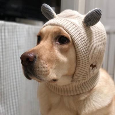 China Heyri Viable Pet Wholesale New Arrive Large Warm Cute Labrador Golden Retriever Warm Knitted Ear Dog Hat Pattern Neck Sleeve Knitted Winter for sale